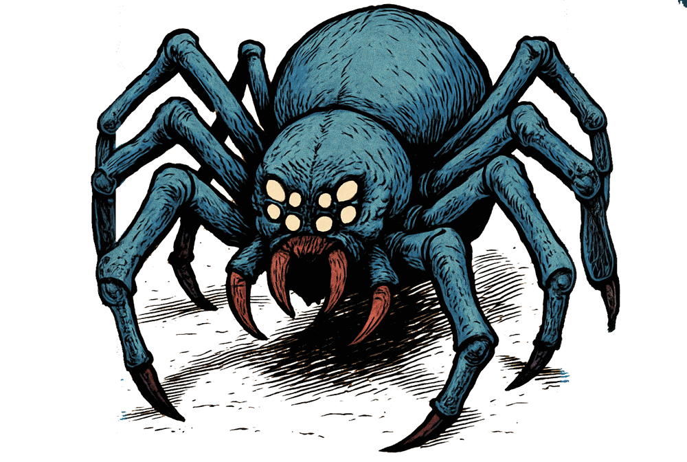 Phase Spider