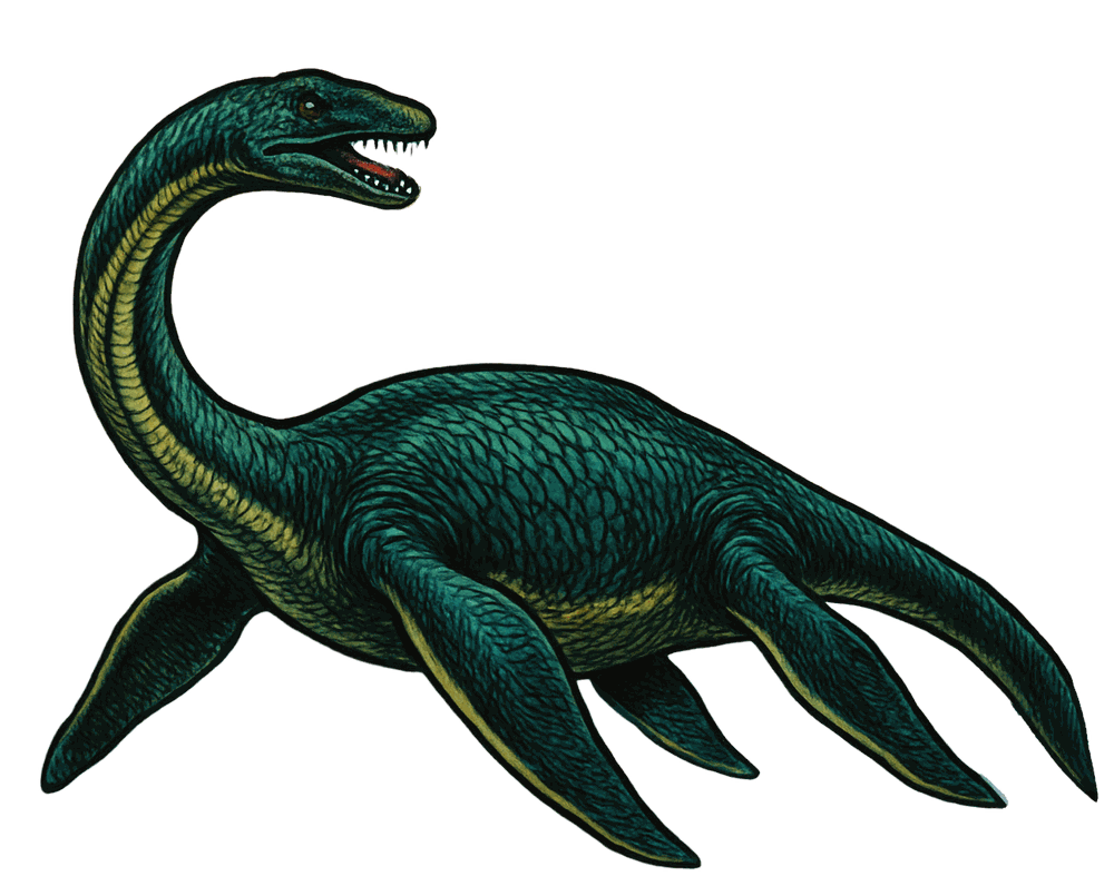 Plesiosaurus