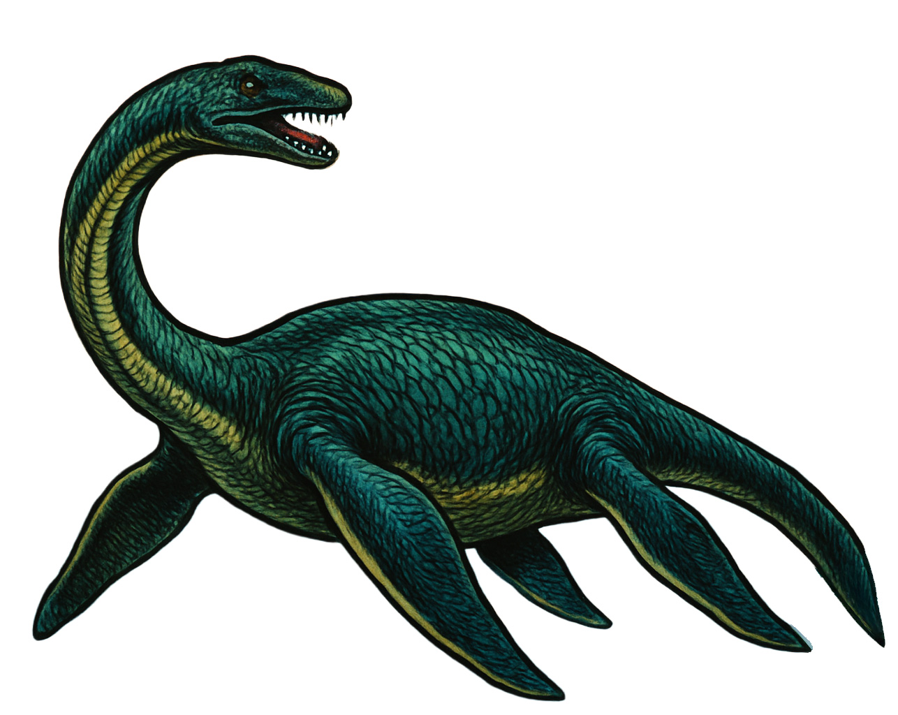 Plesiosaurus