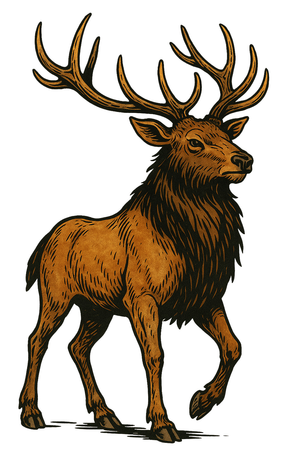 Elk